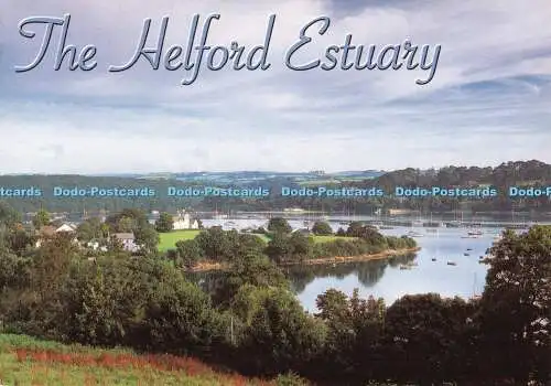 D114630 Helford-Mündung. Hinde. Cornwall. Phillip Fenton