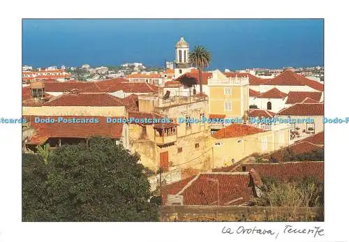 D116853 Teneriffa. La Orotava. Cat Cards Company