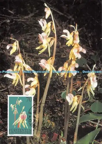 D111663 Ersttag. Furstentum Liechtenstein. Orchideen. Epipogium Aphyllum. Carte