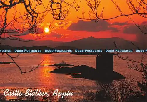 D114691 Castle Stalker. Appin. Loch Linnhe. Appin. Schottland. Gordon Henderson. W