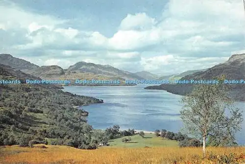 D113419 Dunbartonshire. Loch Lomond. The Bonnie Banks. J. Artur Dixon