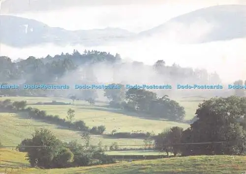 D116928 Nr. Hawkshead. Bilder und Editionen. Jorge Lewinski