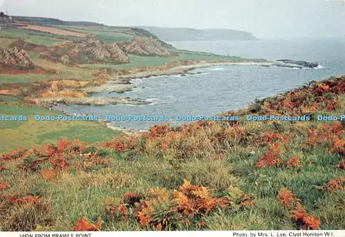 D114755 Blick vom Prawle Point. Mrs. L. Lye. Clyst Honiton W.I. Richter. Devon F