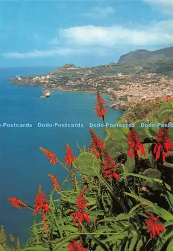 D118286 Funchal. Madeira. Western View. Hans Huber. F. Ribeiro