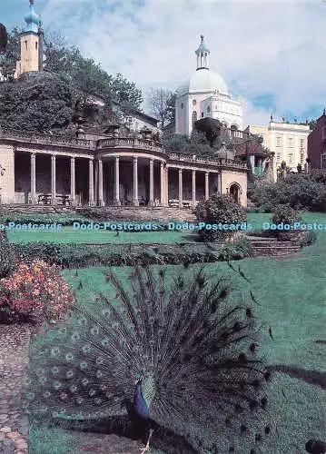 D118290 Portmeirion. Pfau. Snowdonia Press. Richard Tilbrook