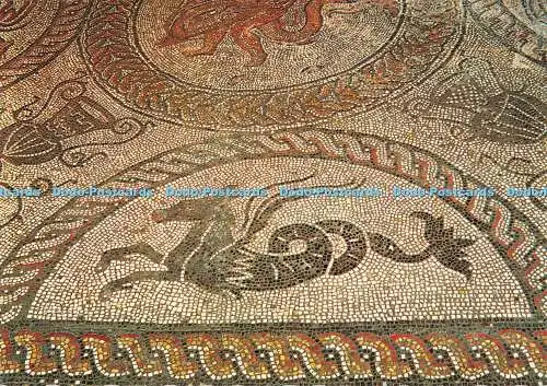 D114774 Fishbourne Roman Palace. Platte aus Delphin Mosaik. Nordflügel. Sussex A