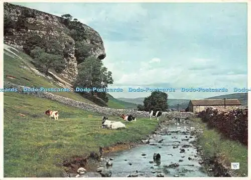 D117004 Kilnsey Crag. Wharfedale. Yorkshire. Walter Scott. Farbserie