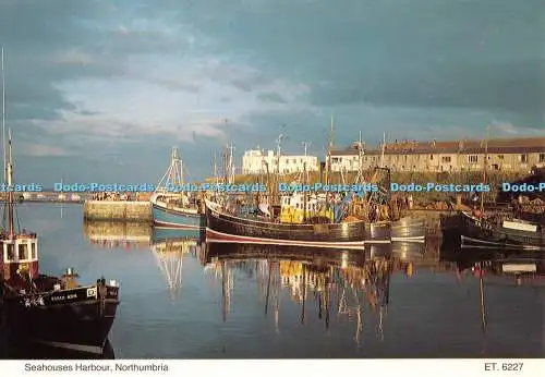 D114836 Seahouses Harbour. Northumbria. ET. 6227. Bamforth