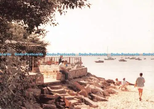 D117036 Shell Bay Cafe. Fährstraße. Studland. Dorset. Delpool Picture Library. D