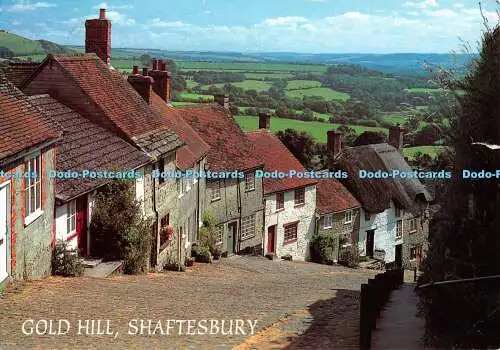 D117041 Gold Hill. Shaftesbury. Lachs. 1999