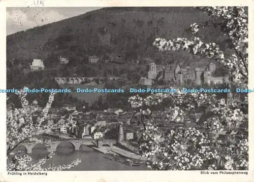 D114867 Fruhling in Heidelberg. Blick vom Philosophenweg. Edm. von König. 1957