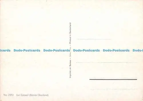 D114923 Nr. 2919. Bei Gstaad. Berner Oberland. Stehli