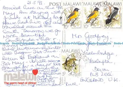 D117154 Malawi. Elefanten. Warmes Herz Afrikas. 1993