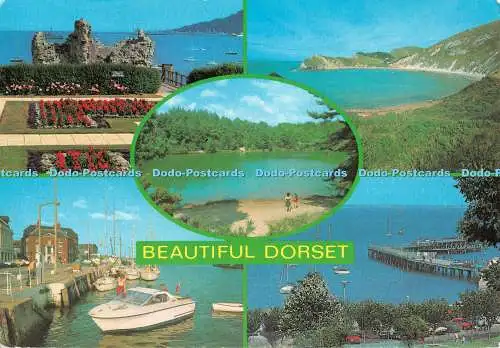 D117175 Schönes Dorset. Lachs. Multi View