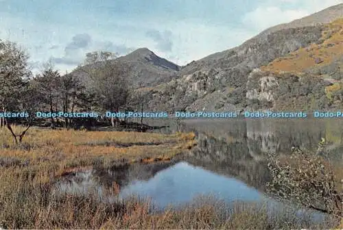 D113680 Neben Llyn Gwynant. Caernarvonshire. Wales 2388. Dixon. 1966