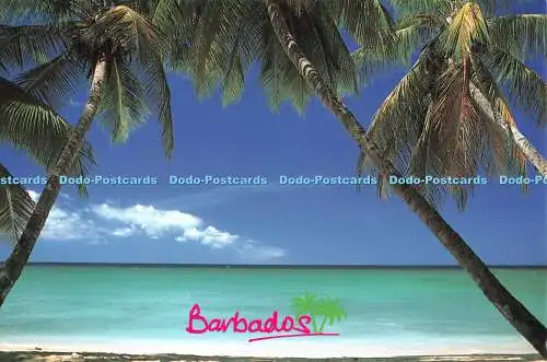 D117213 Barbados. Bajan Impressionen. Randall Banfield. 1994. Kinderbett Karibik Grafik