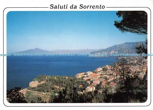 D118570 Saluti da Sorrento. Panorama. GM Matarese. 1994. Pama Graphicolor