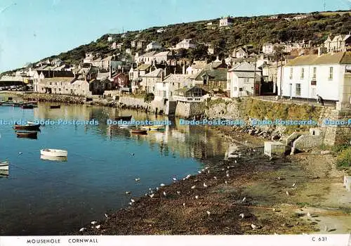 D118580 Mousehole Cornwall. C631. Richter. 1972