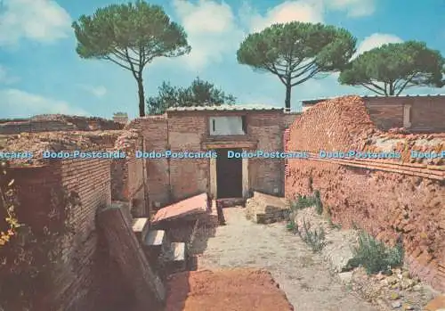 D113716 Ostia Scavi. Isola Sacra. Nekropole. Kodak Ektachrome