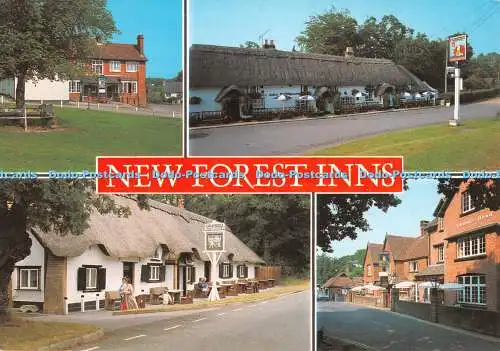 D117249 New Forest Inns. Lachs. Multi View