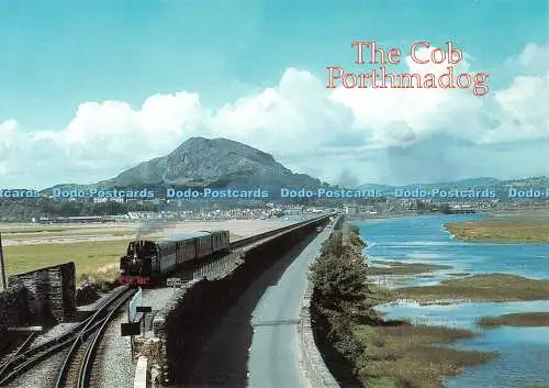 D117259 Cob. Porthmadog. Richter. C4778