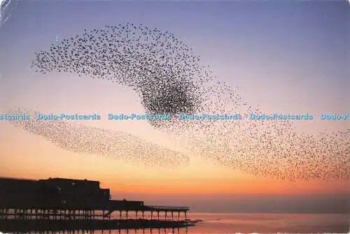 D117281 W316. Star. Aberystwyth. Ceredigion. Beckenkarten. Ynyslas Borth Cer