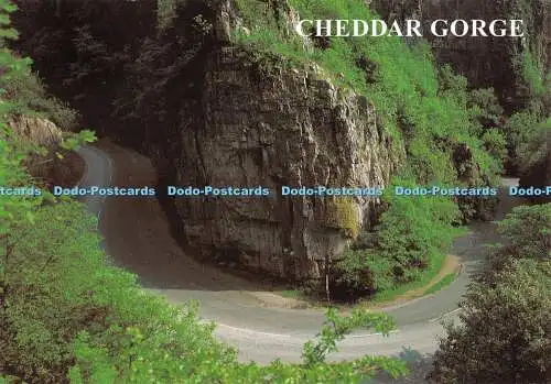 D117299 Cheddar-Schlucht. Hufeisenbogen. Lachs