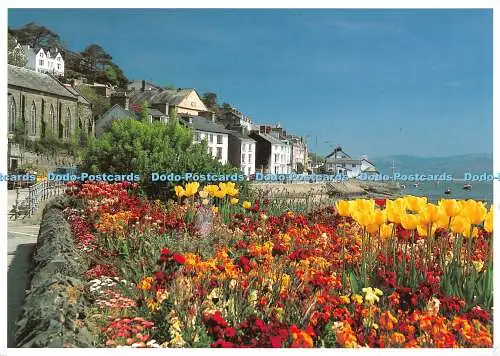 D118660 P127. Aberdovey. Aberdyfi. Gwreidiau. Dave Newbould. Alpine Press