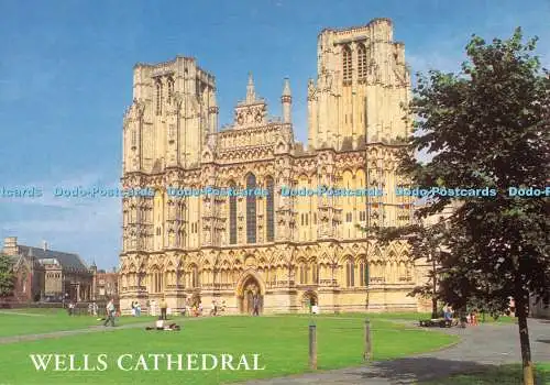 D117331 Wells Cathedral. Lachs