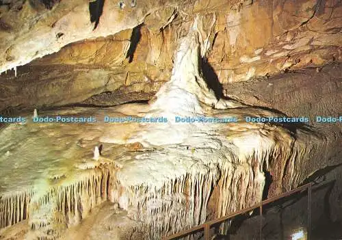 D117332 Niagarafälle. Goughs Cave. Cheddar. Höhlen und Schlucht. Fusion eines Stalags