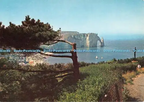 D118720 Normandie France Etretat. LAiguille et la porte dAval. La Cigogne