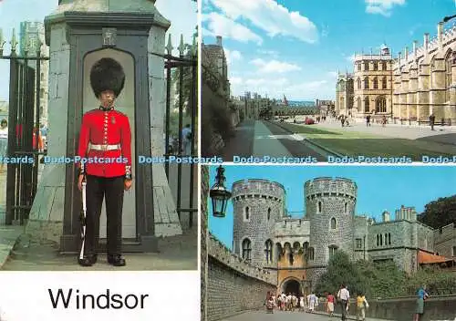 D118729 Windsor. Unichrome von Bath. Multi View