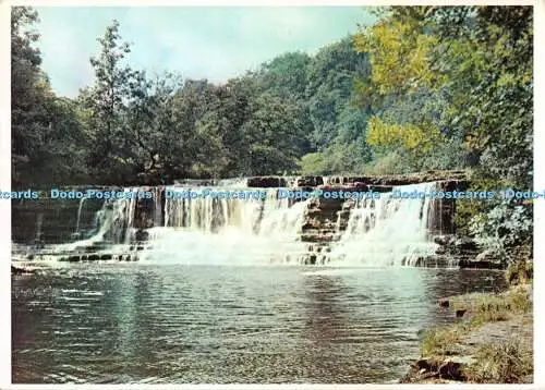 D117418 Middle Falls. Aysgarth. Yorkshire. River Ure. Nationalpark. Walter Scot