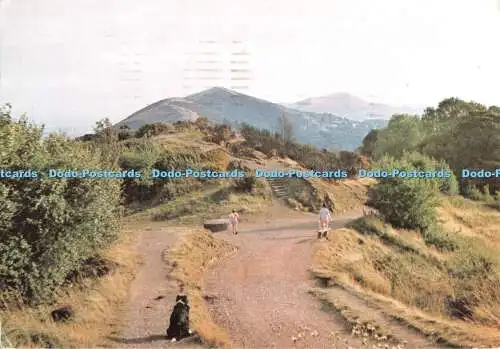 D117421 Malvern Hills mit Blick nach Süden. Winsor Fox Foto. 1975. KNP Gruppe. 1987