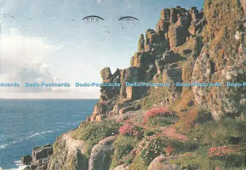 D115213 Lands End. Sea Pinks wachsen reichlich unter den letzten Felsen Englands a