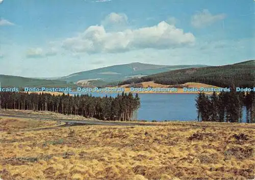 D117434 Forstkommission. Kielder Wald. Deadwater Fell from Bakethin Viewpo