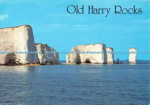 D118778 Old Harry Rocks. In der Nähe von Studland. Lachs