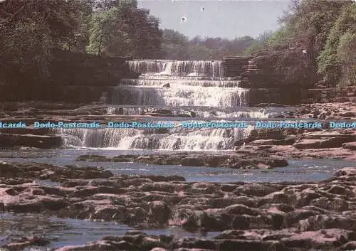 D117461 Yorkshire Dales Nationalpark. Aysgarth Lower Fall. Wensleydale. Yorkshi