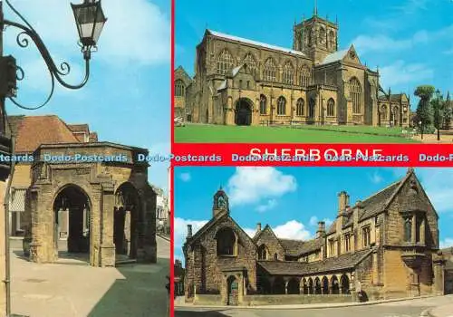 D115313 Sherborne. J. Salmon. Kamerafarbe. Multi View. 1995