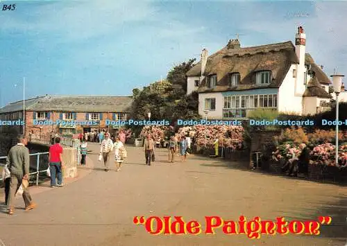 D118871 Olde Paignton. Europa Karten. Ashton Reed