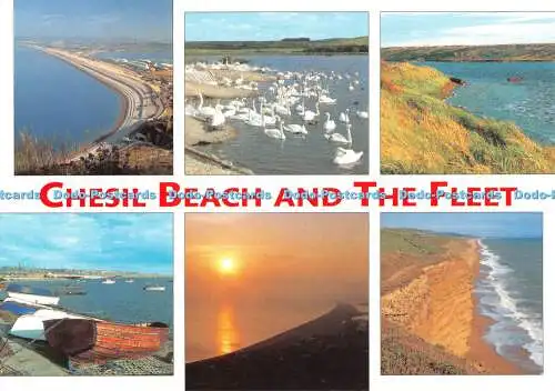 D115330 Dorset. Chesil Beach und die Flotte. J. Salmon. Kamerafarbe. Multi View