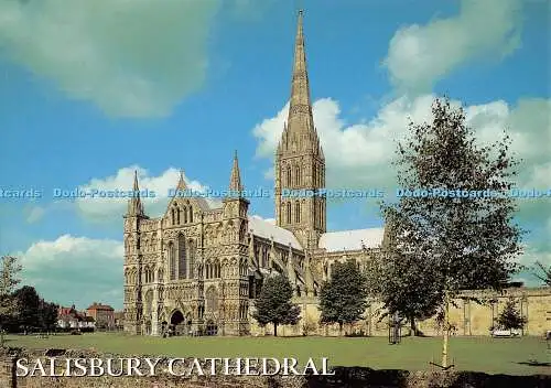 D115342 Kathedrale von Salisbury. Wiltshire. Die Westfront. Kathedrale von Salisbury. J.