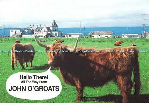 D118922 Hallo den ganzen Weg von John O Groats. Whiteholme of Dundee. 1995