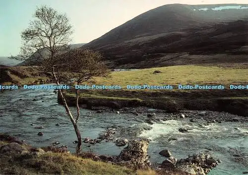 D118926 P199. Clunie Water. Glen Clunie. Phil Banks