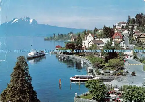 D115375 Kurort Weggis. Promenade mit Pilatus. Kurt Basan. Nr. 105. 1968