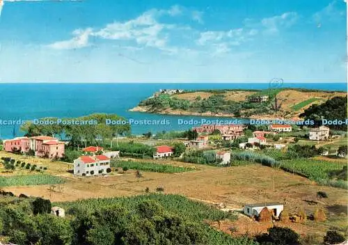 D115388 Isola D Elba. Naregno. F. lli Pagano. Kodak Ektachrome. 1971