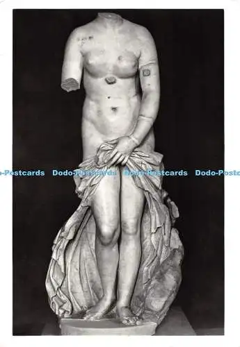 D118943 Siracusa. Museo Nazionale. Nationalmuseum. Venus Anadiomene. Soprintend