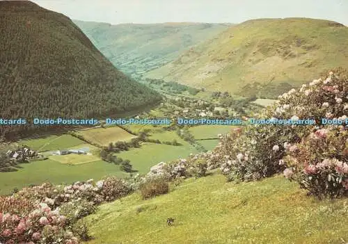 D115429 Gwynedd. Der Pass bei Dinas Mawddwy. J. Arthur Dixon. R. W. Jones