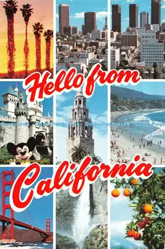 D117698 Hallo aus Kalifornien. The Golden State. Mitock Verlag. Walt Disney