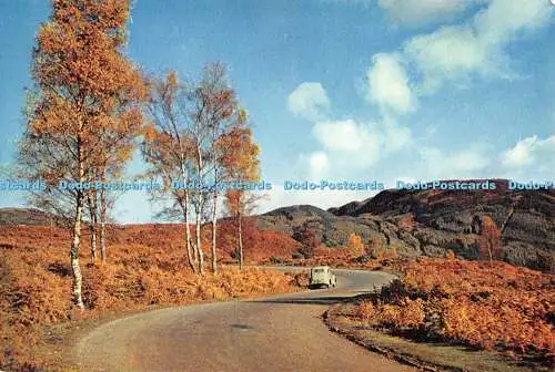 D115523 Schottland. Perthshire. Aberfoyle. Die Herzogsstraße zu den Trossachs. J. Arth